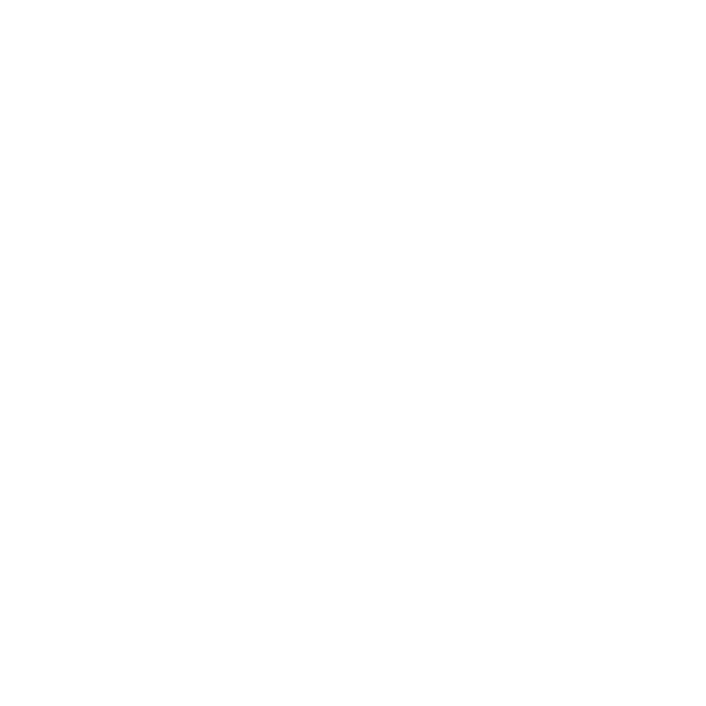 bscai-logo-white-square