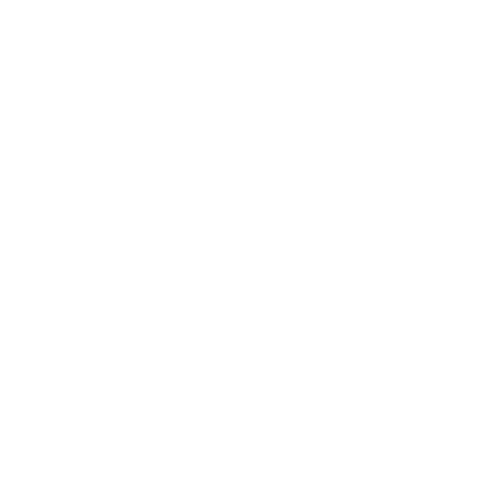 bscai-logo-white